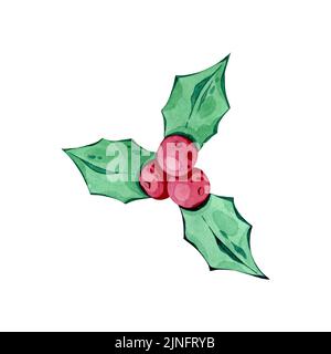 Watercolor Christmas Holly. Watercolor illustration for greeting cards, invitations, and other printing projects. Hand painted isolated illustration. Stock Photo