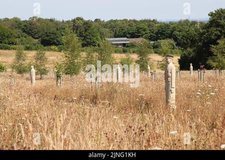 Regiment of Trees, stone soldiers carved by Patrick Walls stand in a grid, Langley Vale Centenary Wood, Epsom, Surrey, England, UK, July 2022 Stock Photo