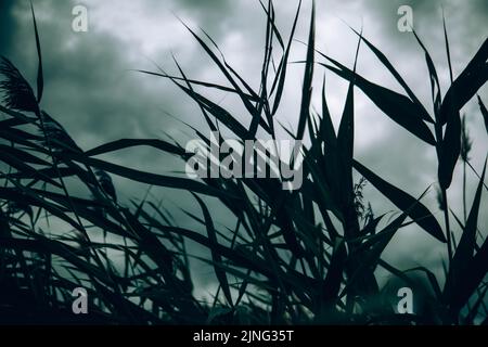 A storm passes over a city in Slovakia Stock Photo
