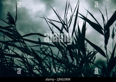 A storm passes over a city in Slovakia Stock Photo