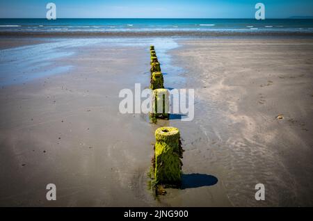 An old wooden groyne buried at low tide on the beach at East Wittering, West Sussex, UK. Stock Photo