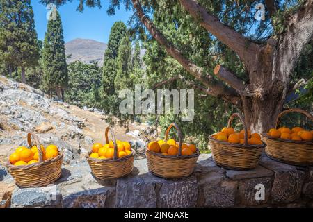 Straw baskets full of ripe oranges, Rhodes island, Greece, Europe. Stock Photo