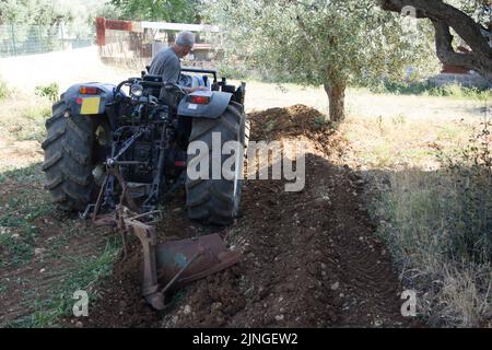 Picture of an elderly farmer who plows land with his tractor. Agricultural and tillage works Stock Photo