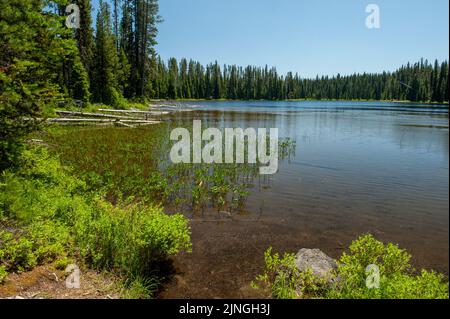 Lemish Lake, in the Deschutes National Forest Stock Photo