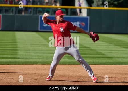 August 10 2022: Saint Louis infielder Nolan Gorman (16) before the game with Saint Louis Cardinals and Colorado Rockies held at Coors Field in Denver Co. David Seelig/Cal Sport Medi Stock Photo