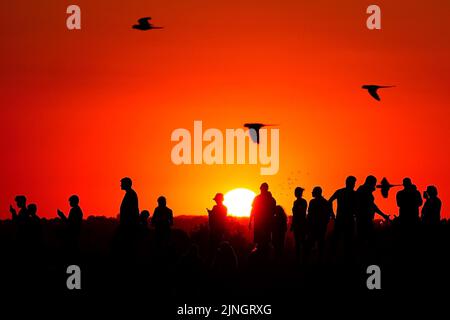 A crowd of people watch the setting sun from a hill in Ealing, west London. The Met Office has issued an amber warning for extreme heat covering four days from Thursday to Sunday for parts of England and Wales as a new heatwave looms. Picture date: Thursday August 11, 2022. Stock Photo