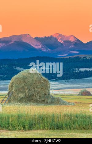 first light on peaks of the flint creek range above haystacks near avon, montana Stock Photo