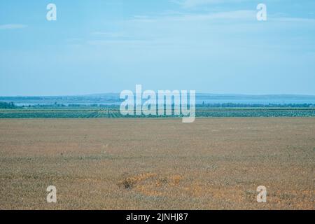 Bright landscape with grassy meadow Stock Photo