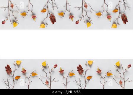 Creative autumn banner. Branches of trees with colorful autumn leaves on clothespins on gray background. Top view, Flat lay. Stock Photo