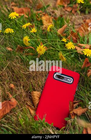 The phone is in a red cover on a grass. Cellphone in red case isolated on natural background. Nobody, selective focus Stock Photo