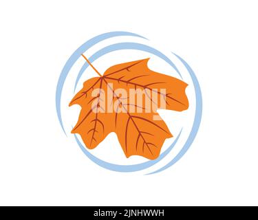 Maple Leaf Fall On The Water creating Ripple Effect Illustration Stock Vector