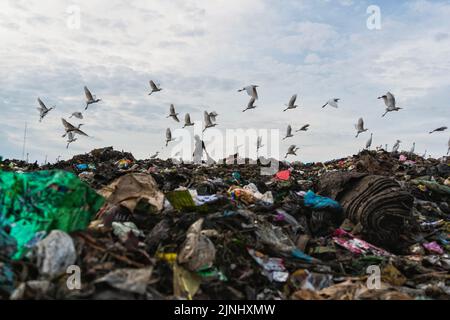 scavengers collect garbage for recycling. Medan, Indonesia - January 31, 2016 Stock Photo