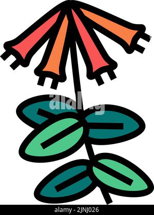 honeysuckle liana color icon vector illustration Stock Vector