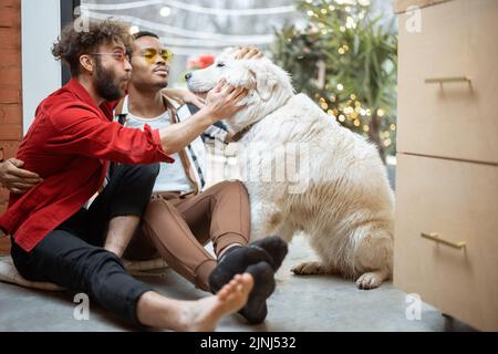 Two guys care dog while sitting on the floor at home Stock Photo
