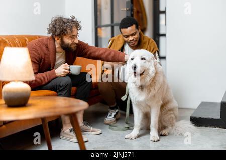 Gay couple having fun with a dog at home Stock Photo