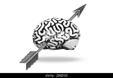 Steel human brain model pierced with a feathered arrow isolated on white background. Stock Photo