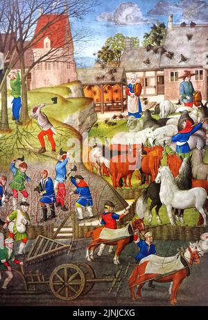 An early British colour illustration of a medieval farm showing beekeepers (banging metal utensils to make the bees settle), forestry workers or woodmen, hurdle makers, animal husbandry,(with cows, sheep and horses, a ploughman , a man with a horse-drawn harrow and another following behind sowing seeds from a bag around his waist. Stock Photo