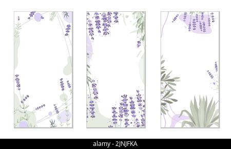 Abstract floral background, social media stories template with lavender plant. Elegant herbs and shapes, pastel colors. Space for text. Stock Vector