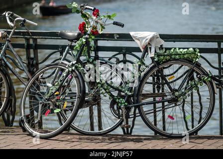 Old bicycle with roses parked on a bridge in the inner city, Netherlands, Amsterdam Stock Photo