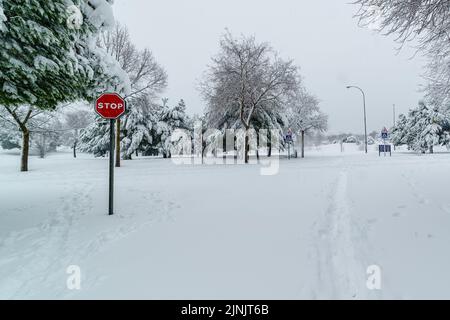 Snowy landscape in Madrid due to the snow storm Filomena. Park, streets, trees all covered in snow. Spain Stock Photo