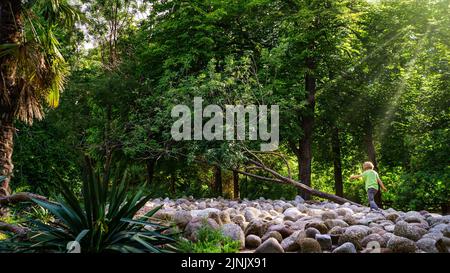 Child playing in a park with large stones and sun rays coming out of the trees. Stock Photo