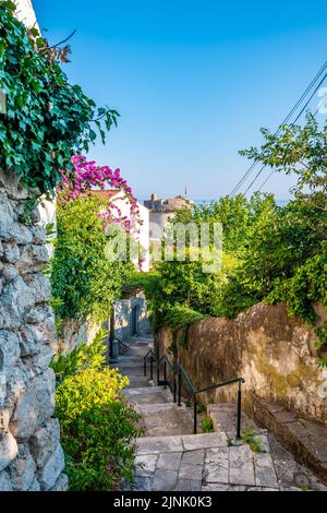 Dubrovnik panorama view from small old street with green trees on the side. Sea in background. Stock Photo