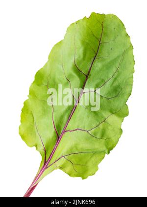 Beetroot lief isolated on white background. Clipping path Stock Photo