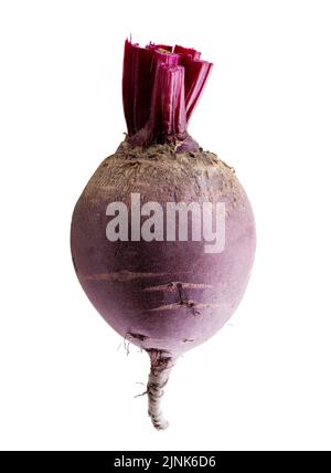 Fresh beetroot isolated on white background. Clipping path Stock Photo