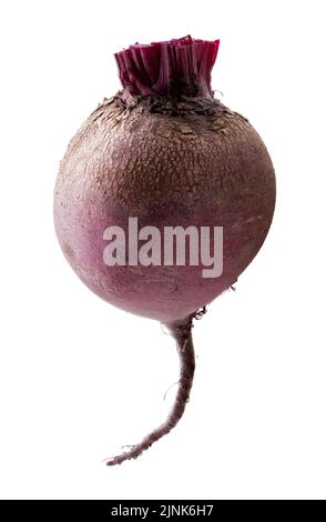 Fresh beetroot isolated on white background. Clipping path Stock Photo