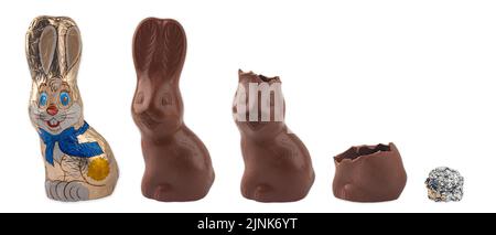 package, easter bunny, eating up, zeichen und symbolik, packages, packing, easter bunnies, eat, eating Stock Photo