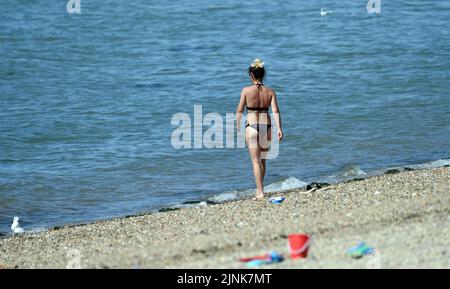 Southend On Sea, UK. 12th Aug, 2022. Southend-on-Sea Essex 12th August 2022A woman heads into the sea at Southend on Sea in Essex as temperatures in the south of England soar to more than 30°C with forecasters warning of even higher temperatures in the coming days hitting as high as 36°C Credit: MARTIN DALTON/Alamy Live News Stock Photo