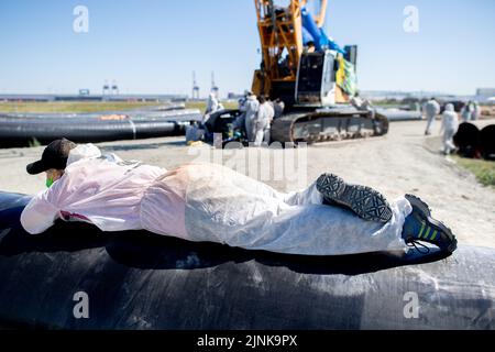 Wilhelmshaven, Germany. 12th Aug, 2022. An activist lies on a pipeline at the construction site for the planned gas pipeline at Jade-Weser Port. Around 300 climate activists protested in Wilhelmshaven against the planned import terminal for liquefied natural gas (LNG). Credit: Hauke-Christian Dittrich/dpa/Alamy Live News Stock Photo