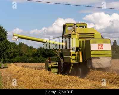 Pickmere Cheshire, August 4th 2022. Farmer taking advantage of the very dry July to harvest his Wheat crop early. Pickmere, Cheshire, UK Stock Photo