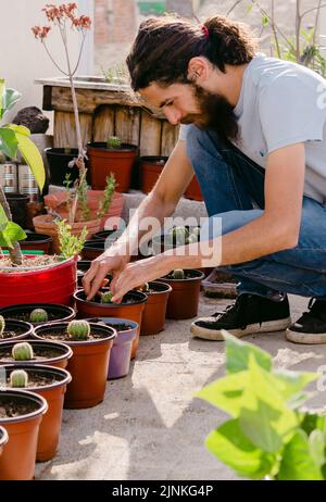 cactus, gardener, roof garden, urban gardening, gardeners, roof gardens Stock Photo