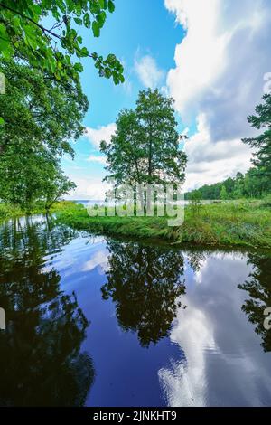 Reflection of trees on the lake with calm waters and cloudy sky. Stock Photo