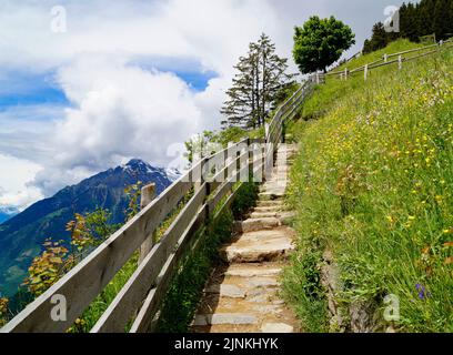 a hiking trail overlooking the alpine valley of the city Merano surrounded by the Texel group mountains (South Tyrol, Italy) Stock Photo