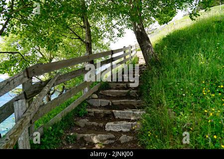 a hiking trail overlooking the alpine valley of the city Merano surrounded by the Texel group mountains (South Tyrol, Italy) Stock Photo