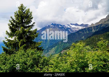 a hiking trail overlooking the alpine valley of the city Merano surrounded by the Texel group mountains (South Tyrol, Italy) Stock Photo