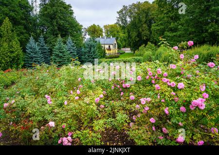 Garden full of multi-colored flowers and a small house in the center of the image. Stock Photo