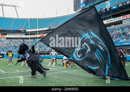 Carolina Panthers mascot Sir Purr signs autographs for an