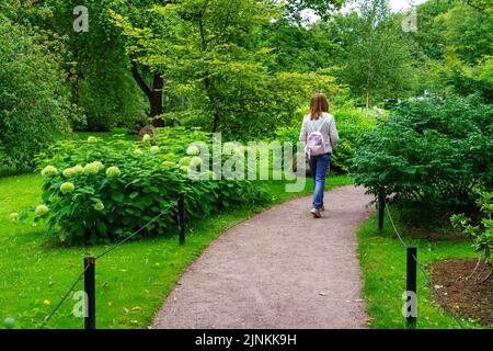 Woman walking along a path among green plants and flowers in the Japanese garden. Stock Photo