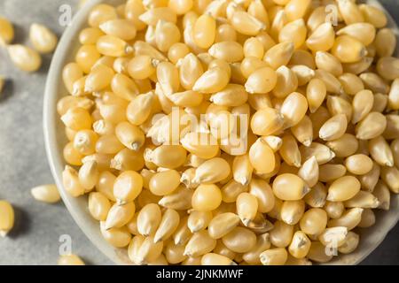 Dry Organic White Popcorn Kernels in a Bowl Stock Photo