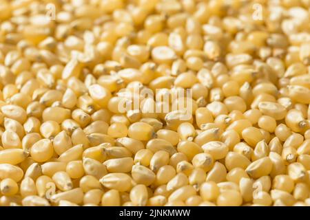 Dry Organic White Popcorn Kernels in a Bowl Stock Photo