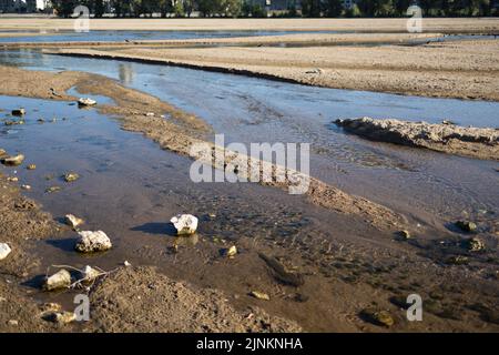 The Loire river, where the water level has decreased, and the environment is dry. As France is experiencing intense drought (Secheresse) during a heat wave in Orleans on August 12, 2022. Photo by Raphael Lafargue/ABACAPRESS.COM Stock Photo