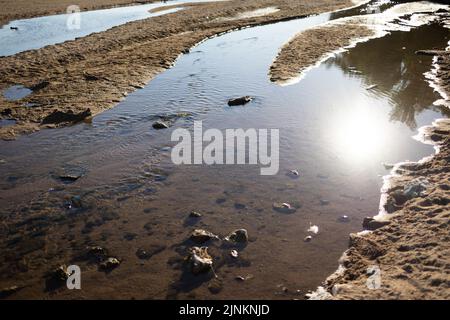 The Loire river, where the water level has decreased, and the environment is dry. As France is experiencing intense drought (Secheresse) during a heat wave in Orleans on August 12, 2022. Photo by Raphael Lafargue/ABACAPRESS.COM Stock Photo