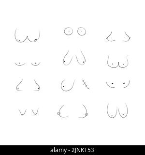 Different types of hand drawn breasts. Abstract female breast signs. Hand  drawn feminist set, women boobs print minimalist style, different cartoon  bo Stock Vector Image & Art - Alamy