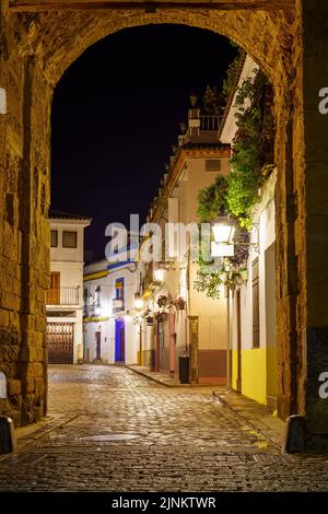 Alley at night behind an entrance arch in the wall of Cordoba, Andalusia. Stock Photo