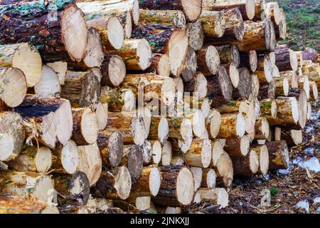 Stack of large cut logs on the mountain, deforestation the forest. Stock Photo