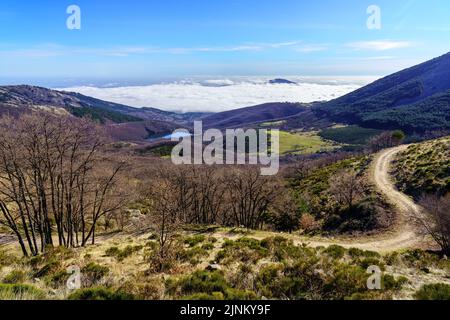 Path through the forest between high mountains and clouds below the snow-capped peaks. Morcuera Madrid. Stock Photo