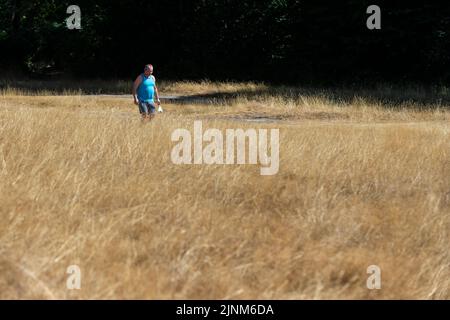 Chorleywood, UK.  12 August 2022.  UK Weather : A man walking on parched grassland on Chorleywood Common, Hertfordshire.  The risk of wildfires remains high as the driest spell in England for 46 years continues.  Today, Hertfordshire became one of 14 areas classified as ‘in drought’ by The Environment Agency.  Credit: Stephen Chung / Alamy Live News Stock Photo